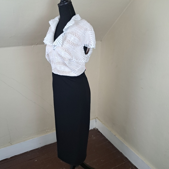 Tadashi Shoji Two Tone Lace Sheath Dress Size 16 - Picture 6 of 16